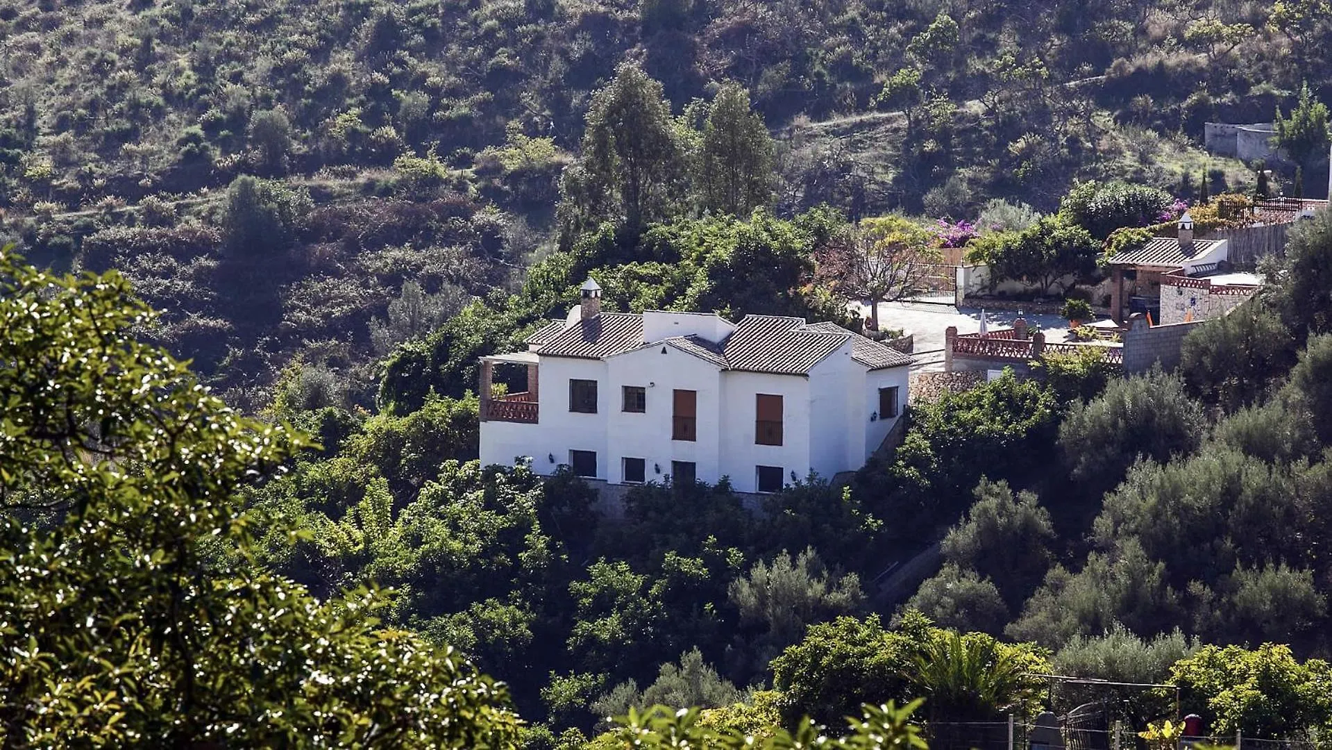 Villa Francisco Frigiliana